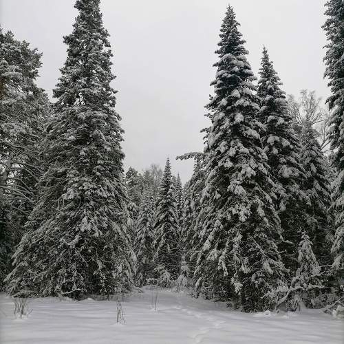 Photo #10088199
