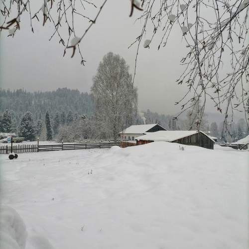 Photo #10088207