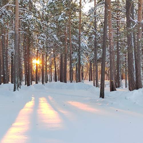 Photo #10088501