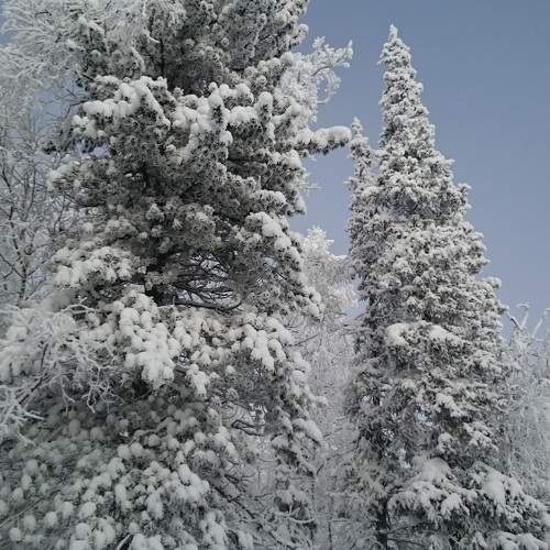 Photo #10088589