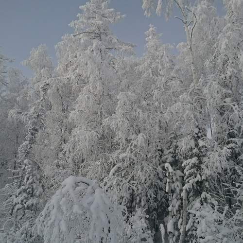 Photo #10088653