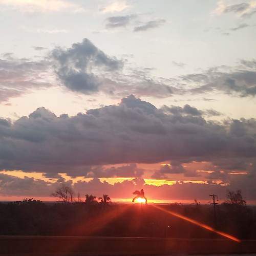 Photo #10088768