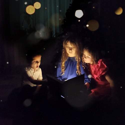 Photo #10088783