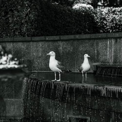 Photo #10089102