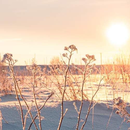 Photo #10089153