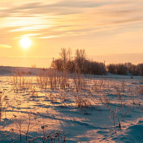 Photo #10089157