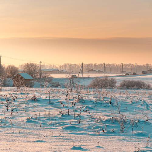 Photo #10089159
