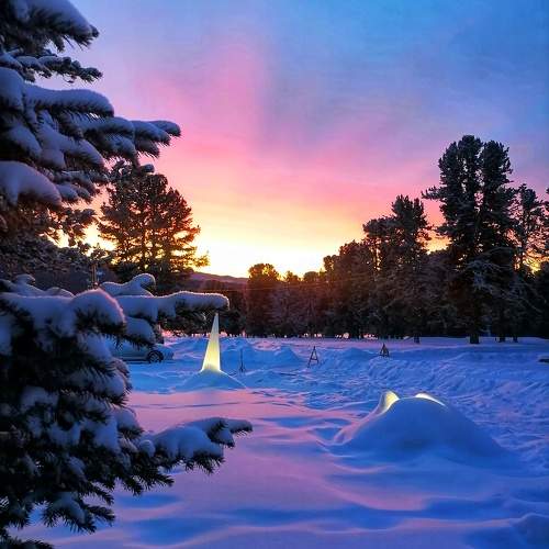 Photo #10089203