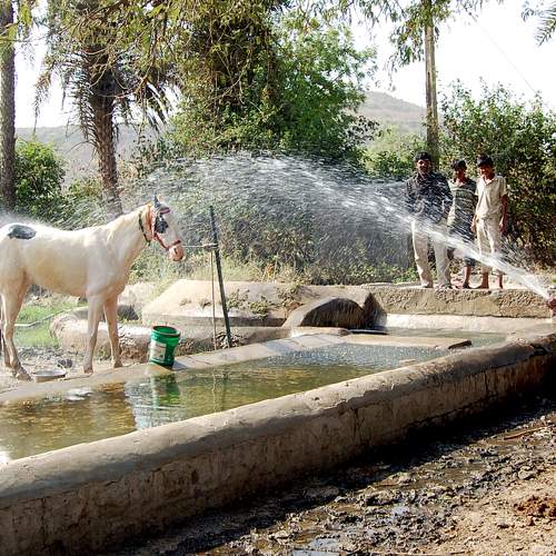 Photo #10089205