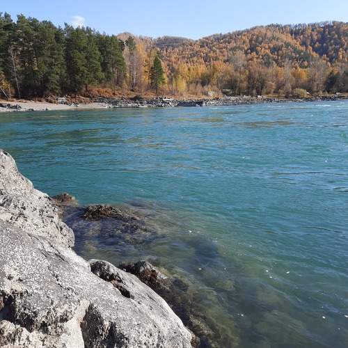 Photo #10089349