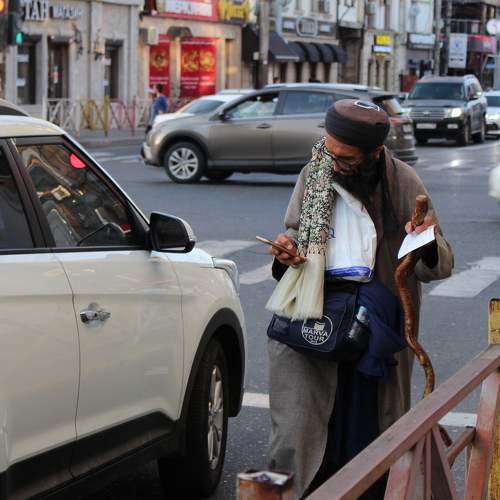 Photo #10089415