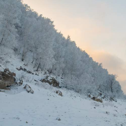 Photo #10089681