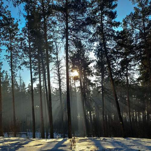 Photo #10091064