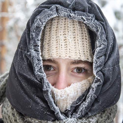 Photo #10091263