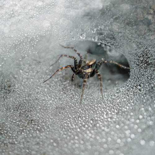 Photo #10091430