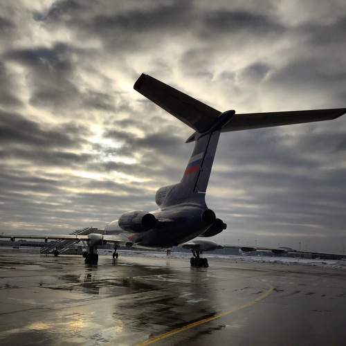 Photo #10091559