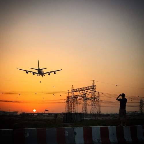 Photo #10091560