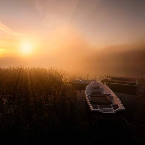 Photo #10091715