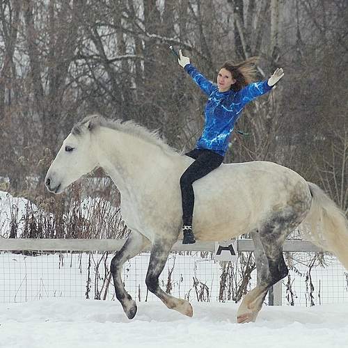 Photo #10091955