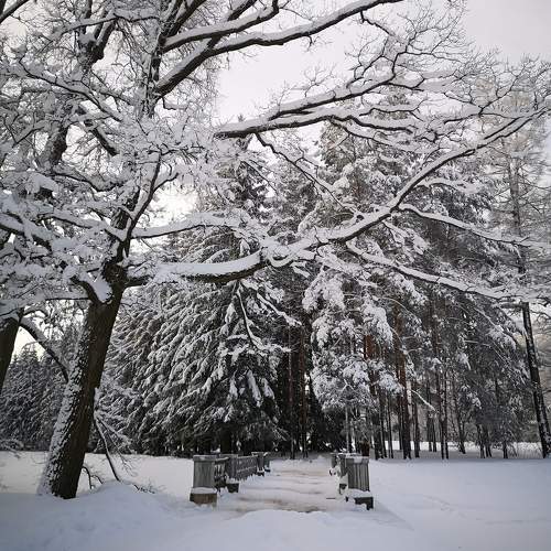 Photo #10092040