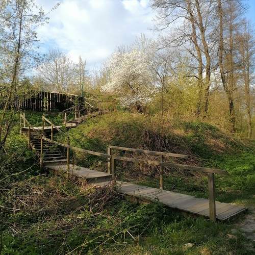 Photo #10092293