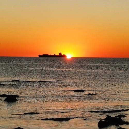 Photo #10092419
