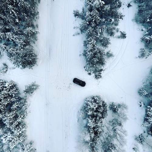 Photo #10092609