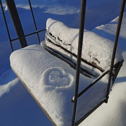 Photo #10093176
