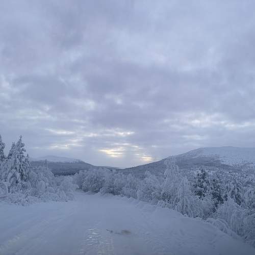 Фотография #10093213