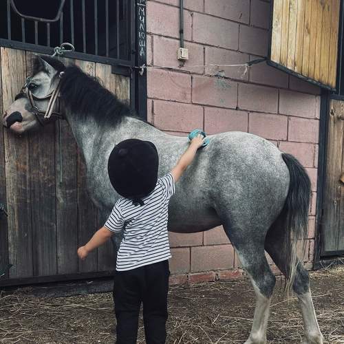 Photo #10093276