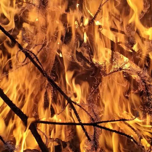 Photo #10093820