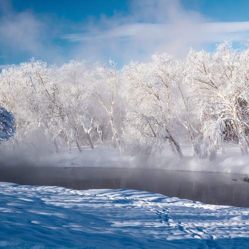 Photo #10093840