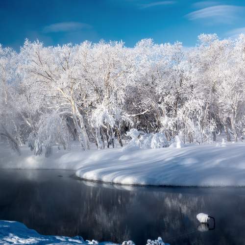 Снежность