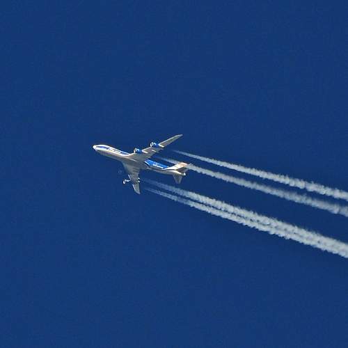 Photo #10093995