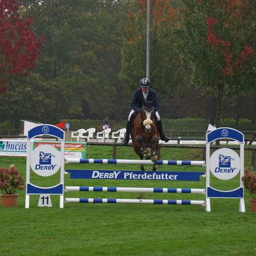 Photo #10094275