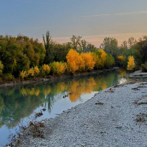 Photo #10094942