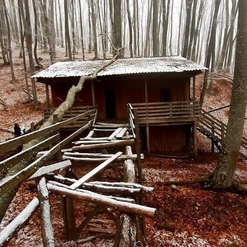 Photo #10094997