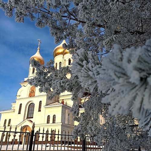 Photo #10095041