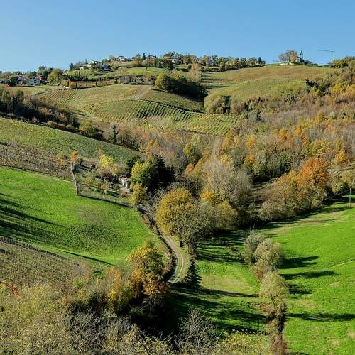 Photo #10095068