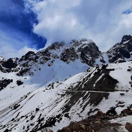 Photo #10095569