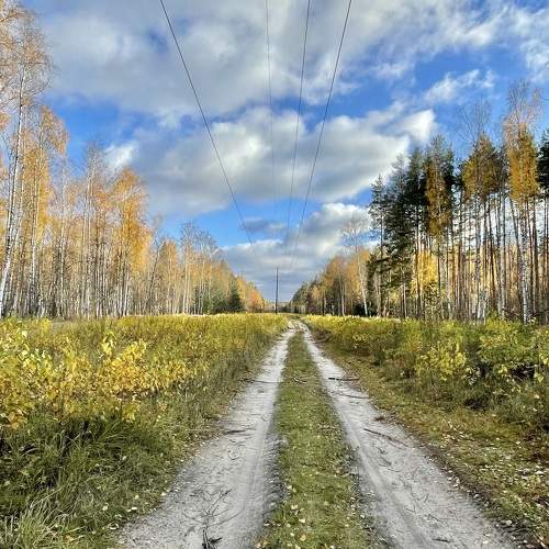 Photo #10096426