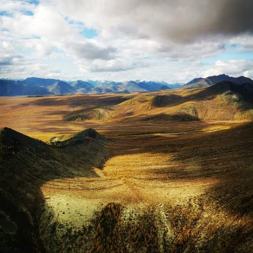 Photo #10096930