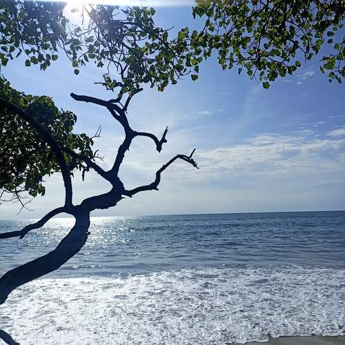 When the Ocean and Sky Meet