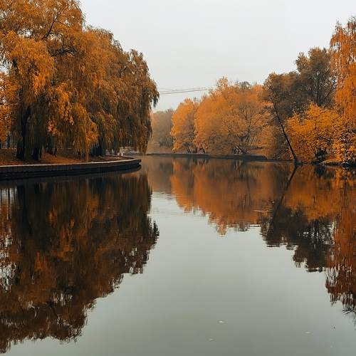 Photo #10097392