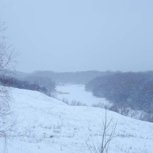 Photo #10097504