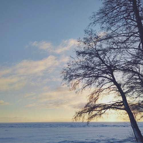 Photo #10097574