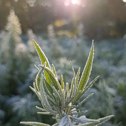 Photo #10097642