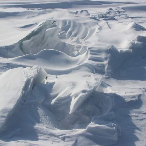 Photo #10097782