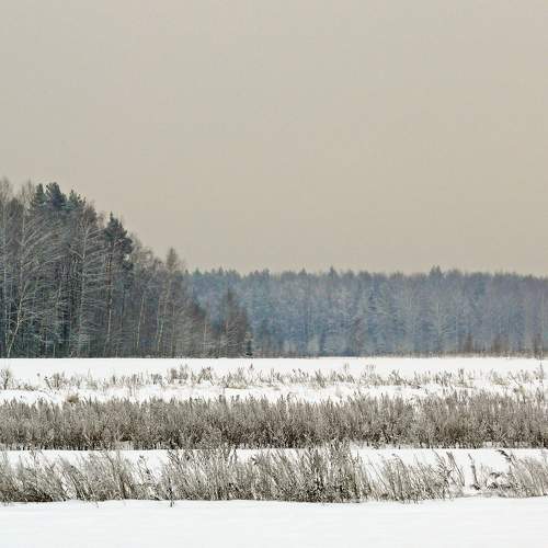 Photo #10097825