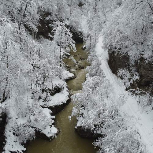 Photo #10097899